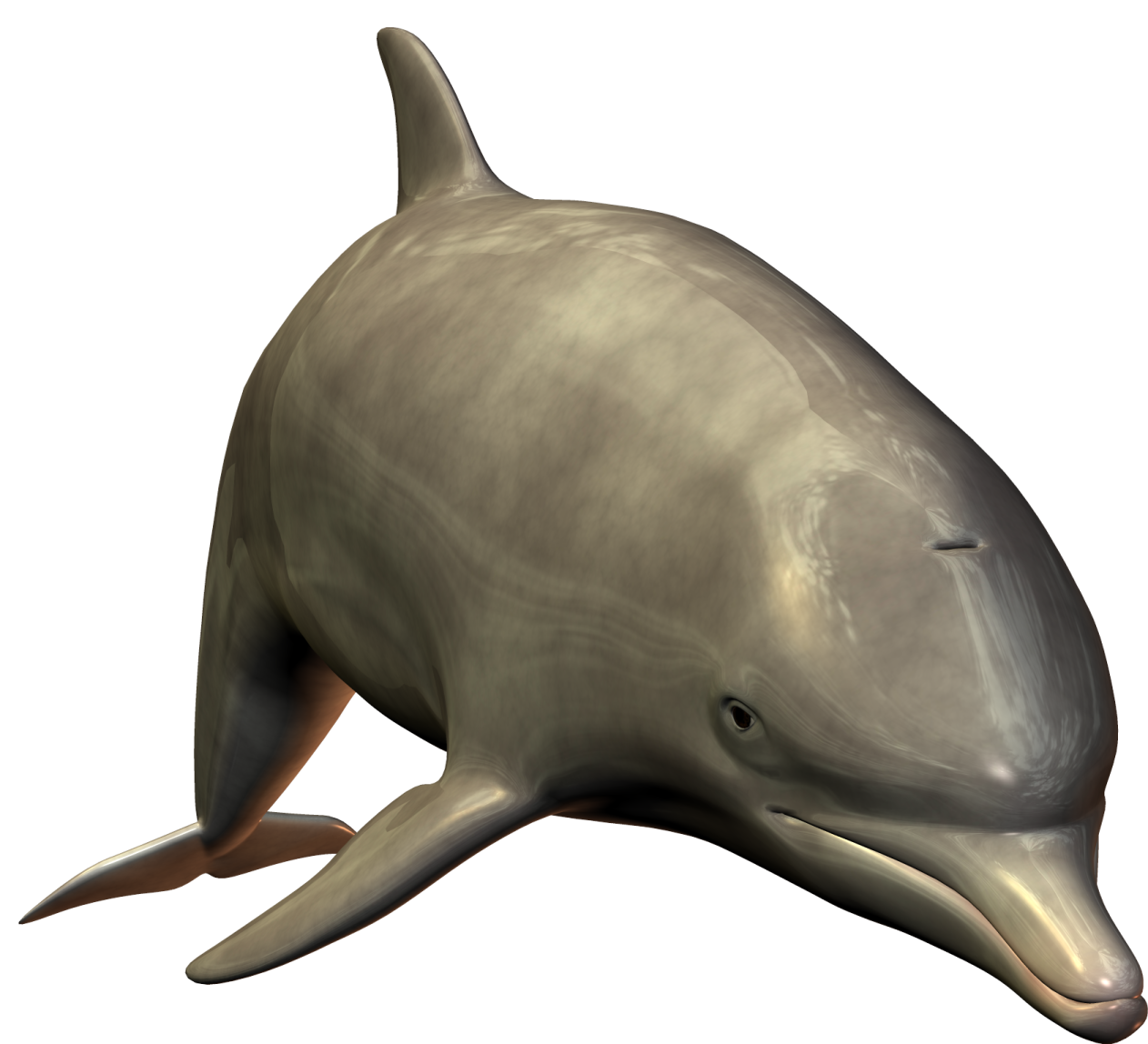 a dolphin that is sitting on the ground