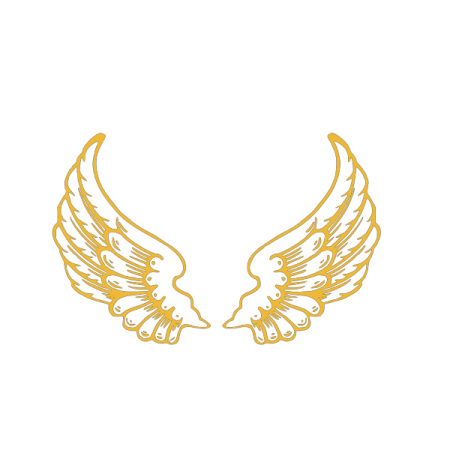 a pair of wings on a white background