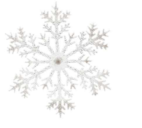 a white snowflake is shown in this image