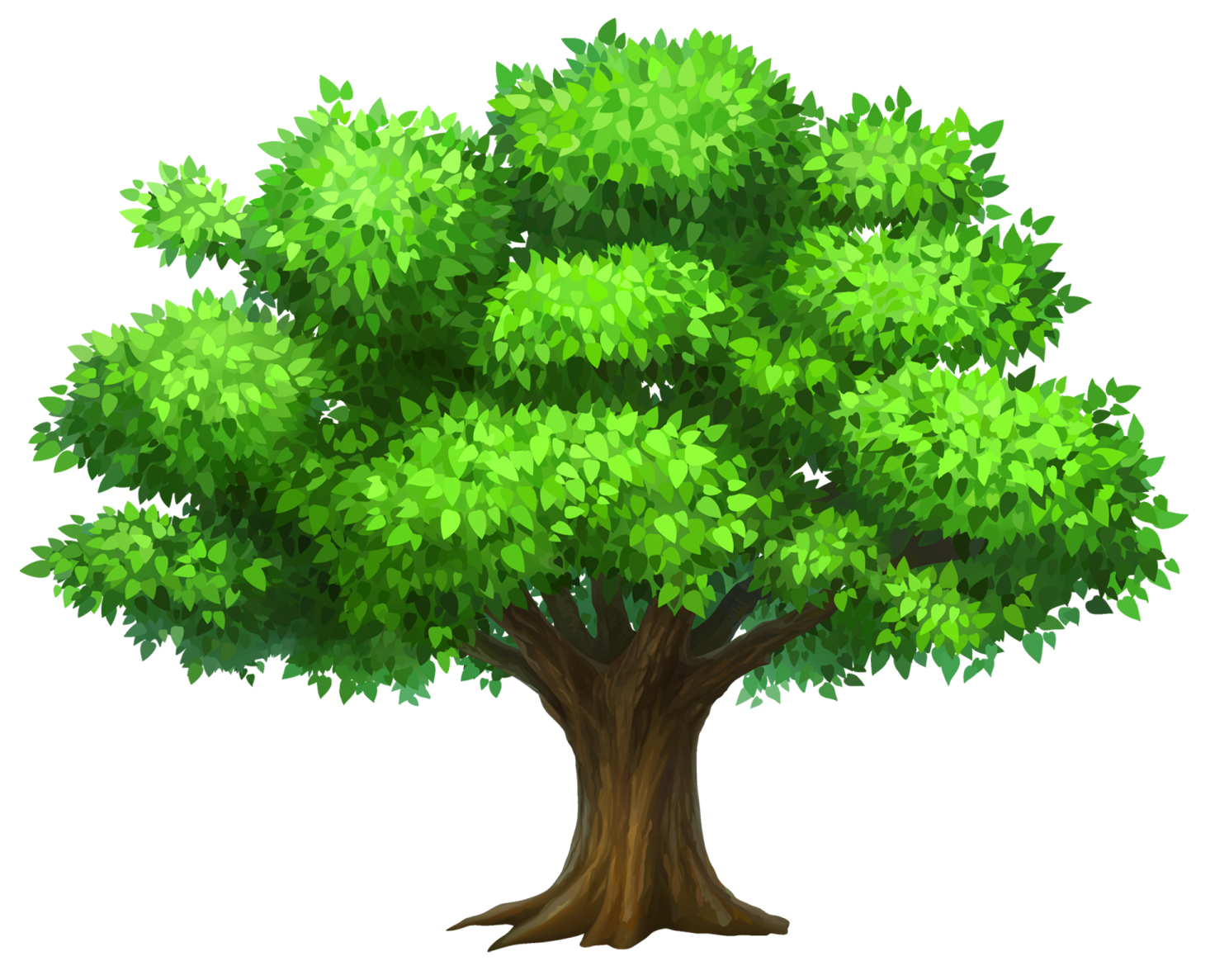 a green tree on a white background