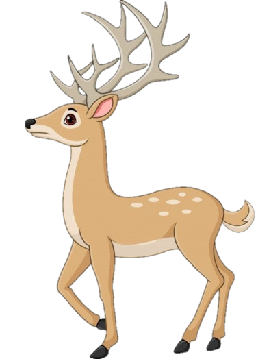 how to draw a deer