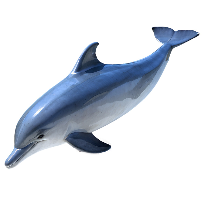 a blue dolphin swimming in the ocean