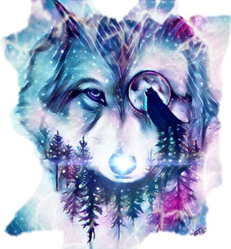 a drawing of a wolf in the snow