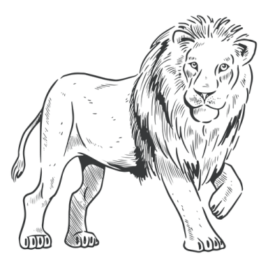 a black and white drawing of a lion