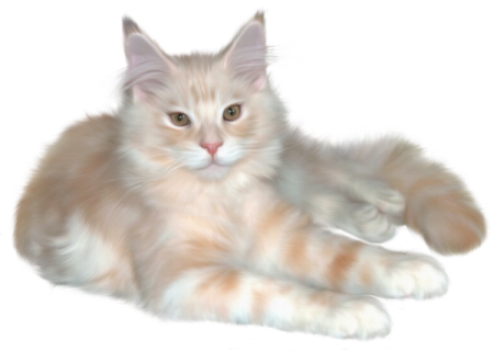 an orange and white cat laying on the ground