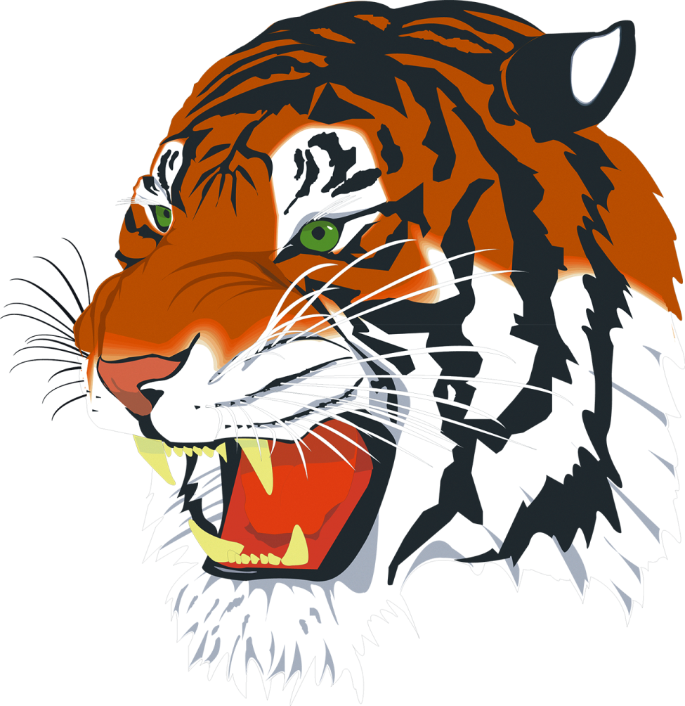 a tiger's head with its mouth open
