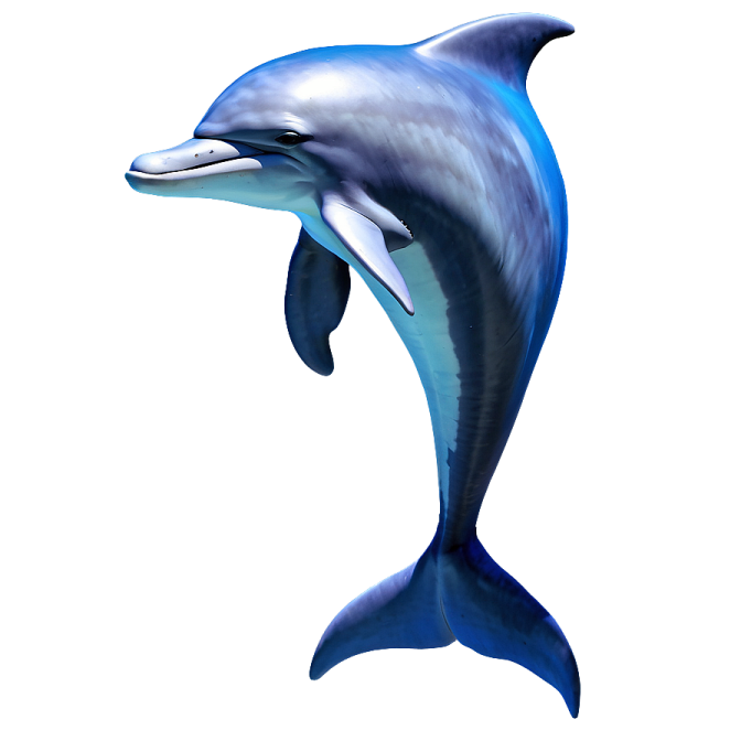 a dolphin jumping in the air with its mouth open