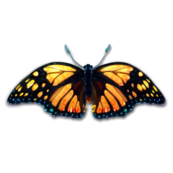 a monarch butterfly on a white background