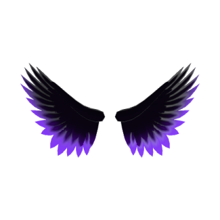 a pair of black wings on a white background