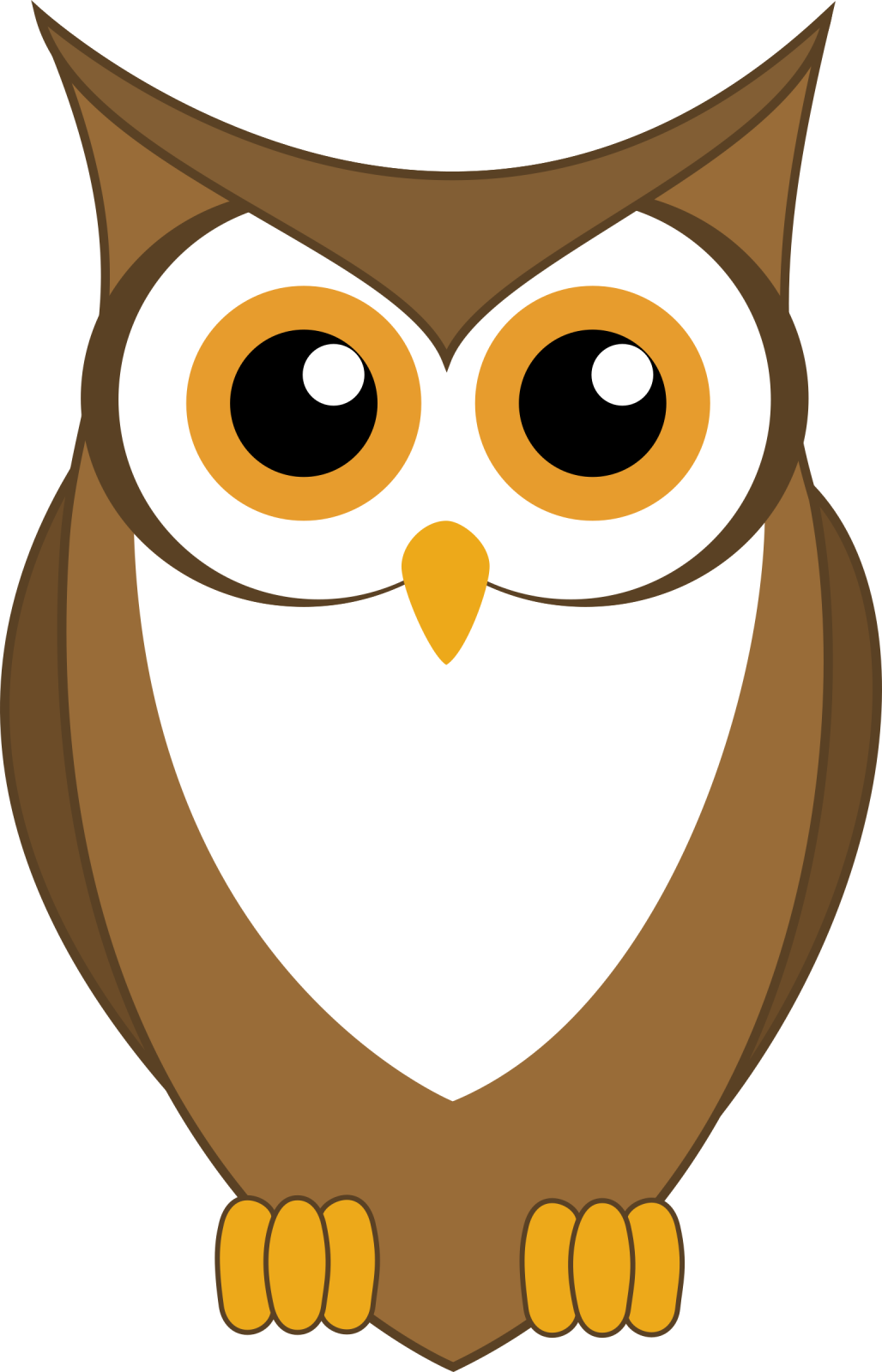 an owl with big eyes