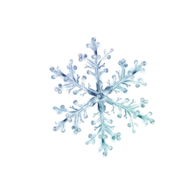 a blue snowflake on a white background