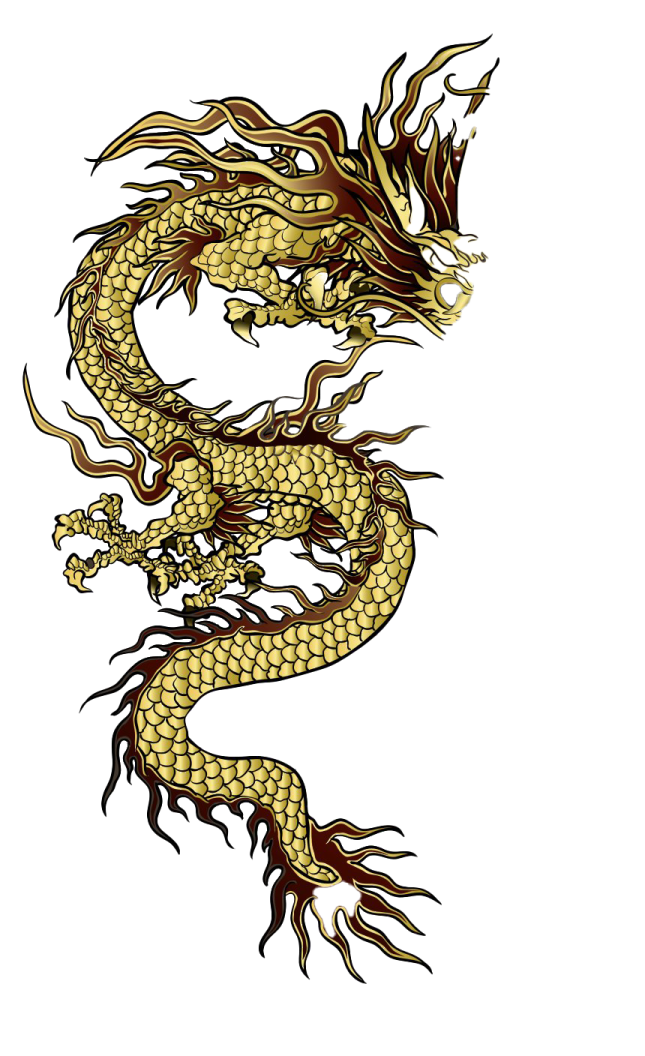 a gold dragon tattoo design