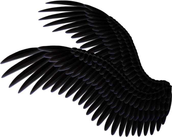 a black bird with its wings spread out