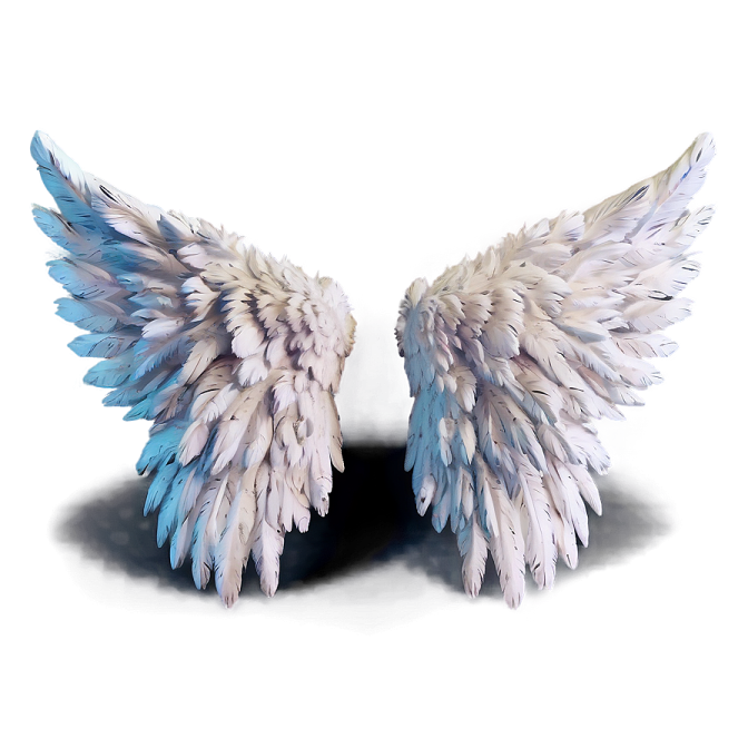 two white and blue wings on a white background