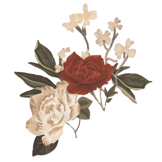 a red rose with white flowers and green leaves