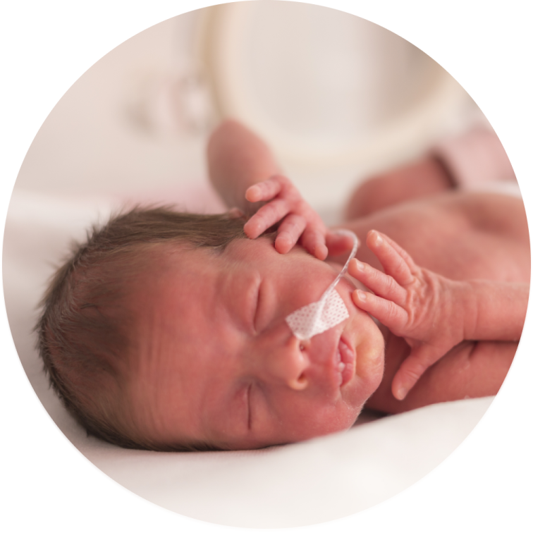 a baby is being fed by its mother