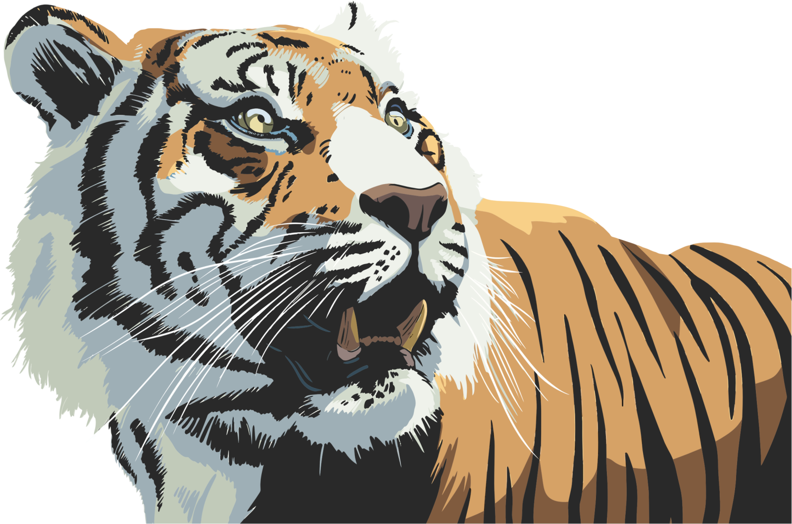 a tiger with its mouth open