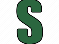 a green dollar sign with a white background
