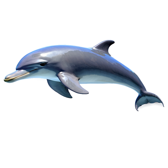 a dolphin jumping in the air on a white background