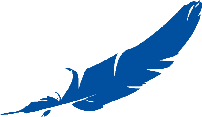 a blue feather on a white background