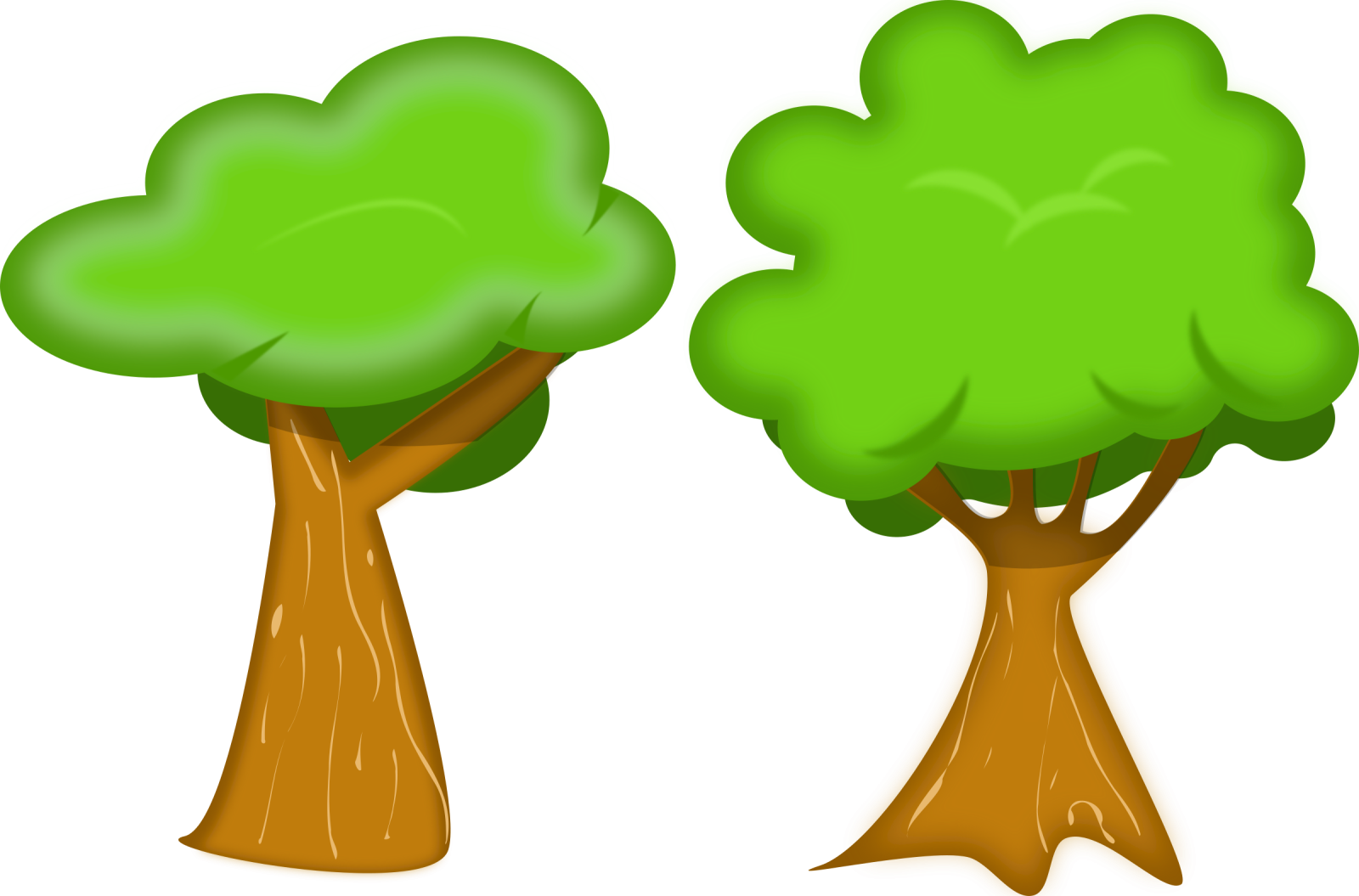 two trees with green leaves on them