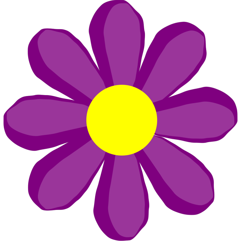 a purple flower with yellow center