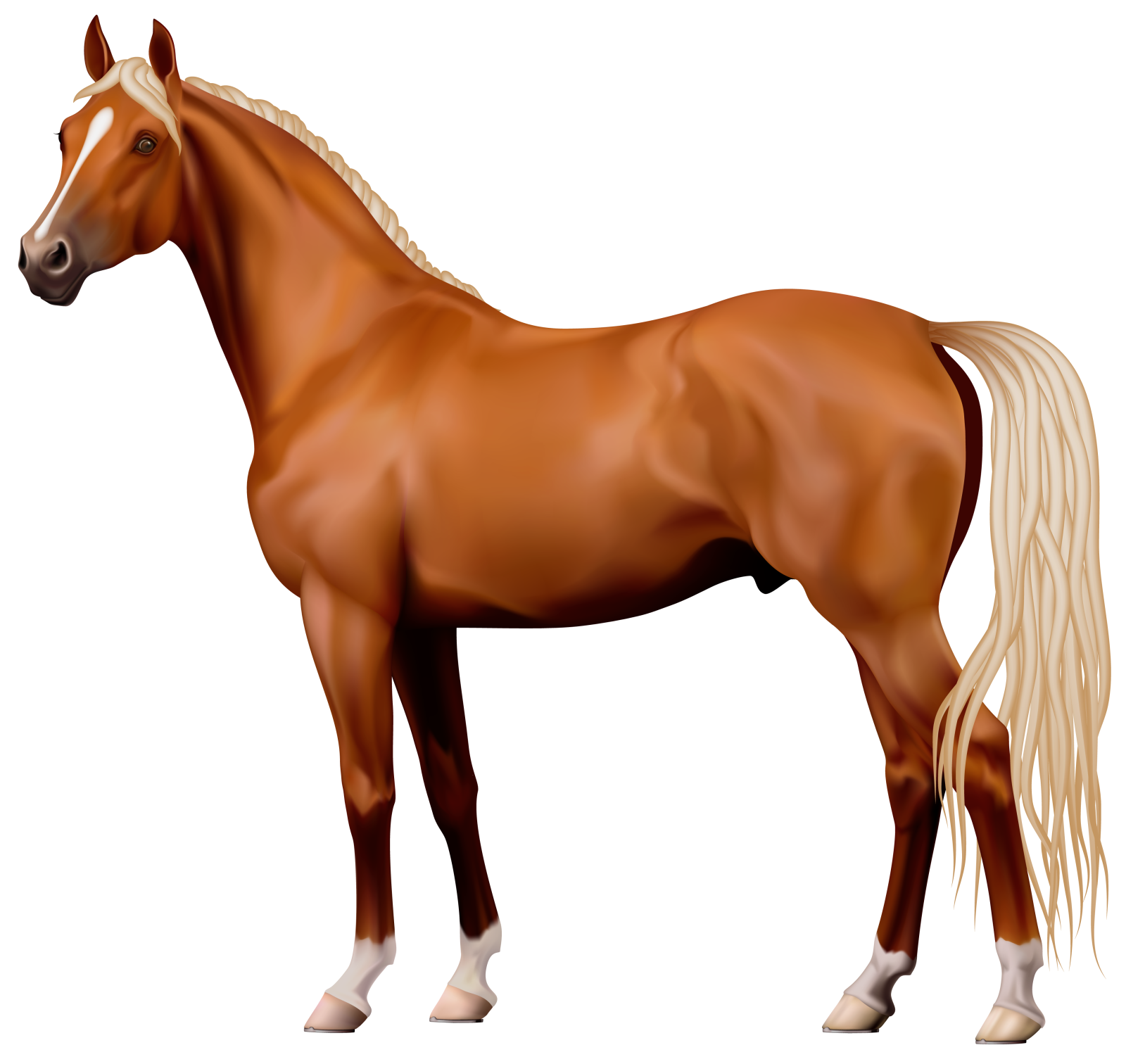 a brown horse with long blonde hair