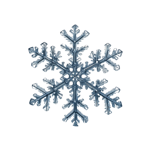 an image of a snowflake