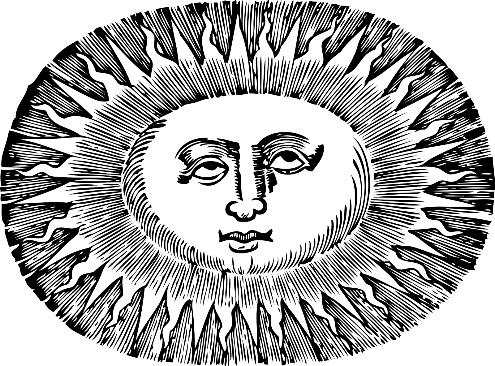 a black and white drawing of a lion's head