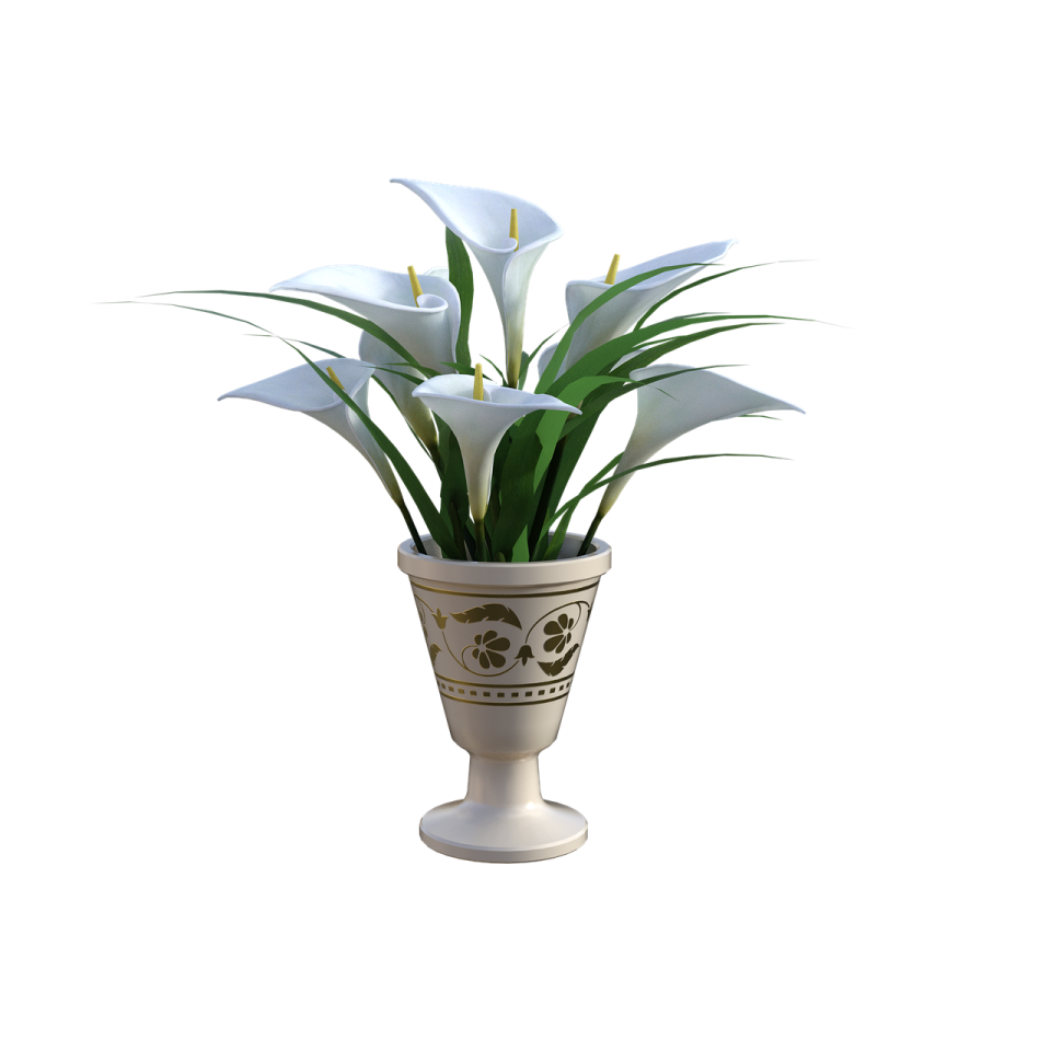 a white flower in a ceramic pot