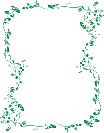a green frame with leaves on it