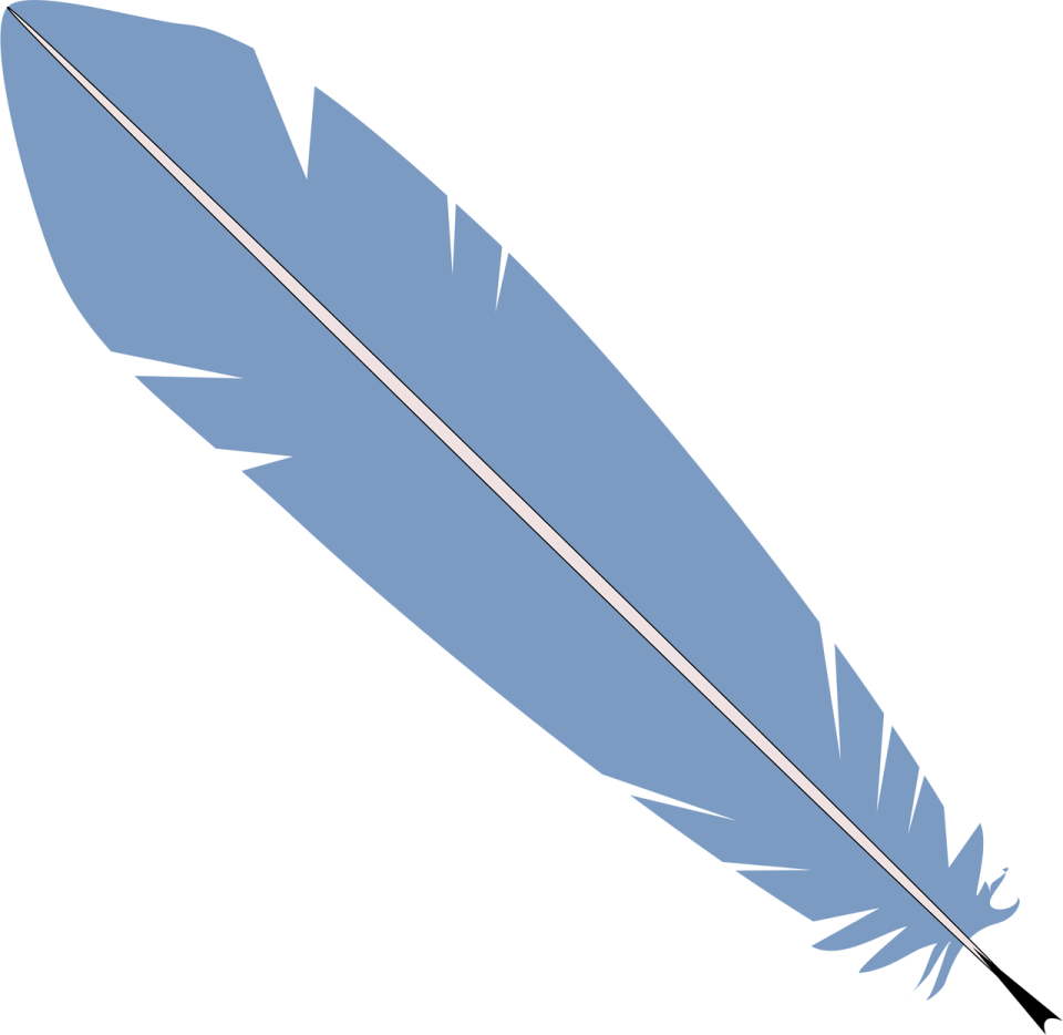 a blue feather on a white background