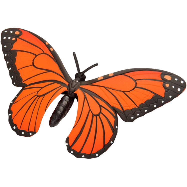 a large orange butterfly with black wings