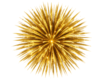 a golden star burst on white background