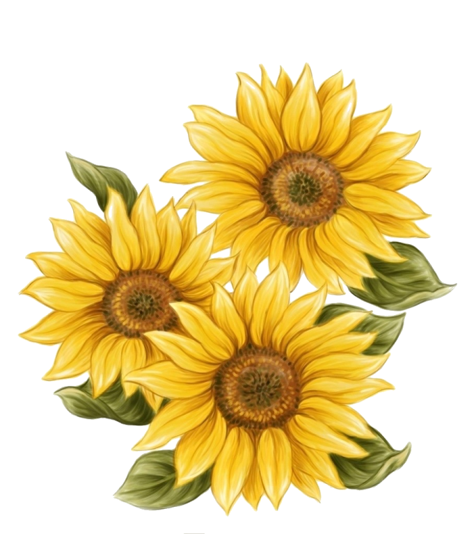 three yellow sunflowers with green leaves