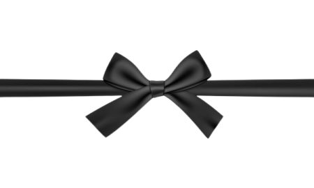 a black bow on a white background