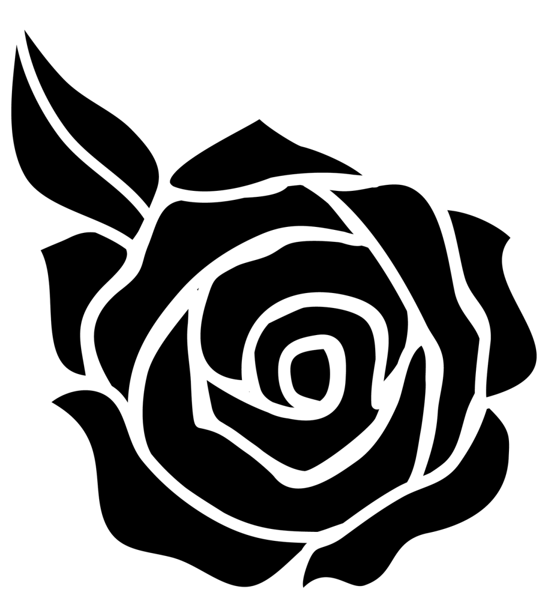 a black rose flower on a white background