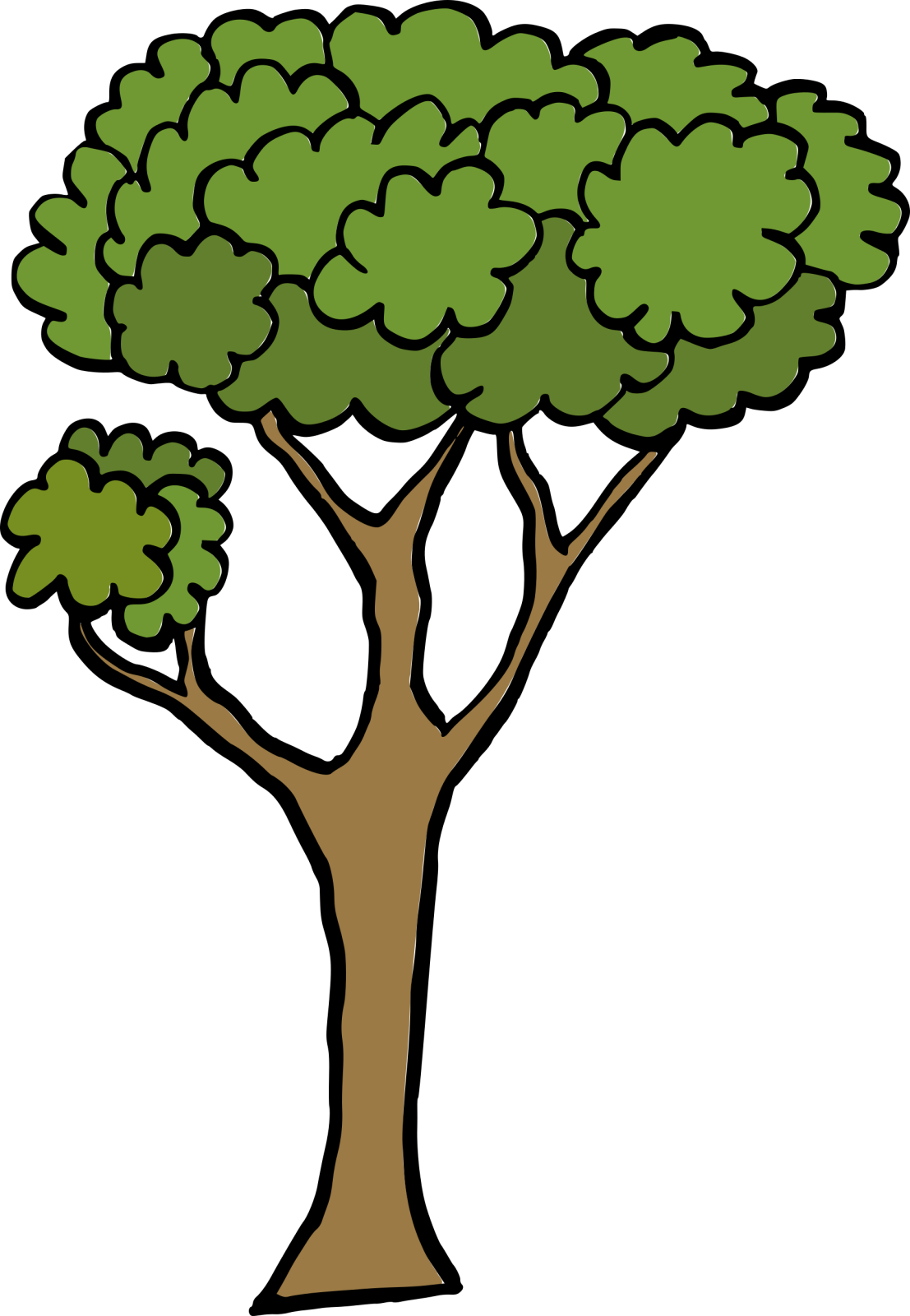 a tree with green leaves on it