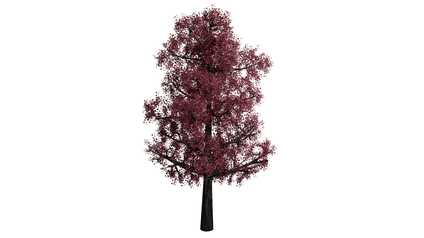 a tree with red leaves on it's branches