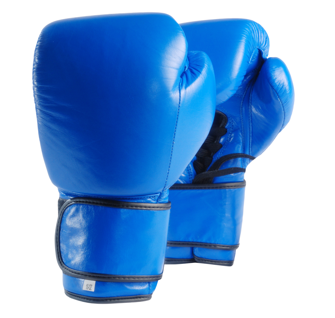a pair of blue boxing gloves