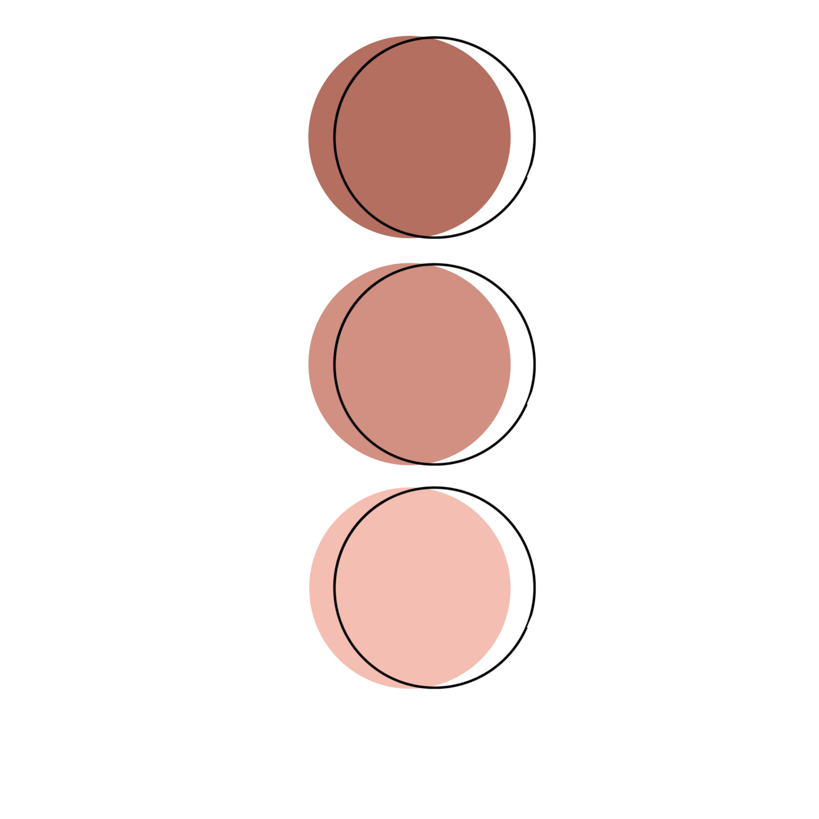 three circles with one circle in the middle