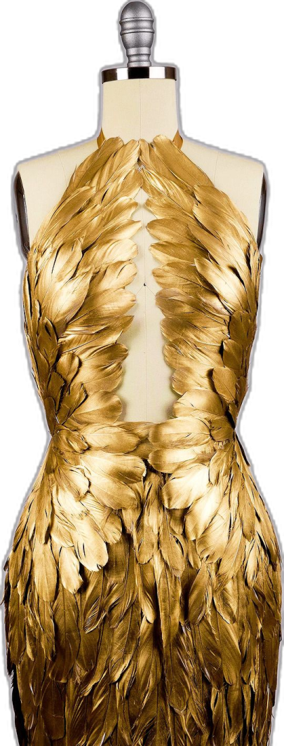 a gold dress with feathers on it
