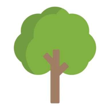 a green tree with a brown trunk