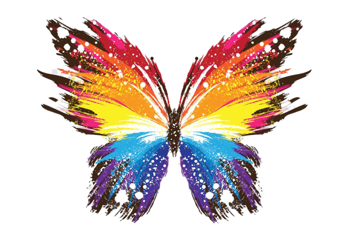 a colorful butterfly on a white background
