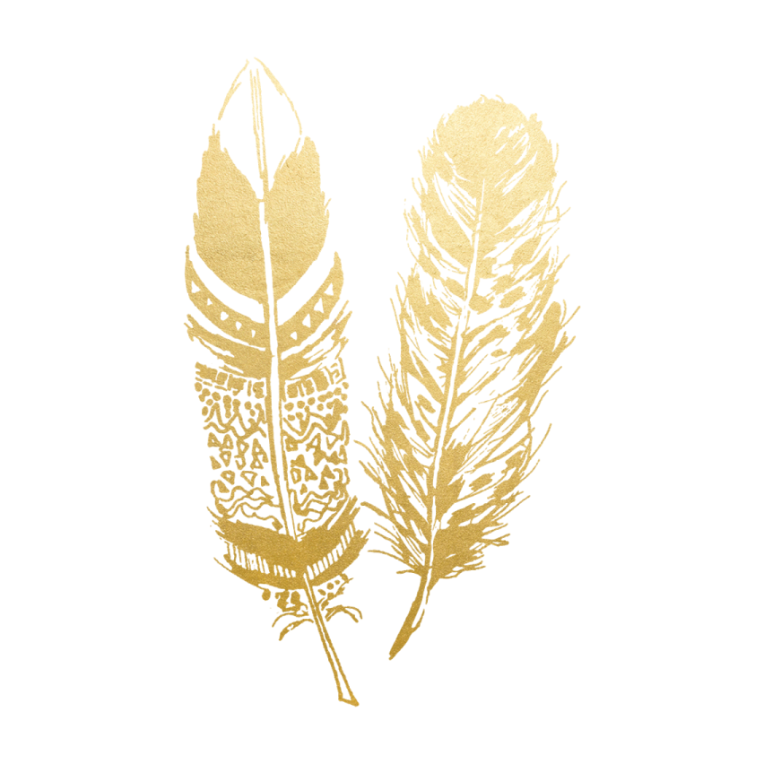 two gold feathers on a white background