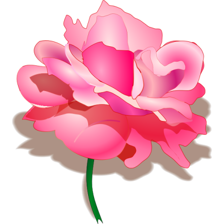 a pink rose with green stem