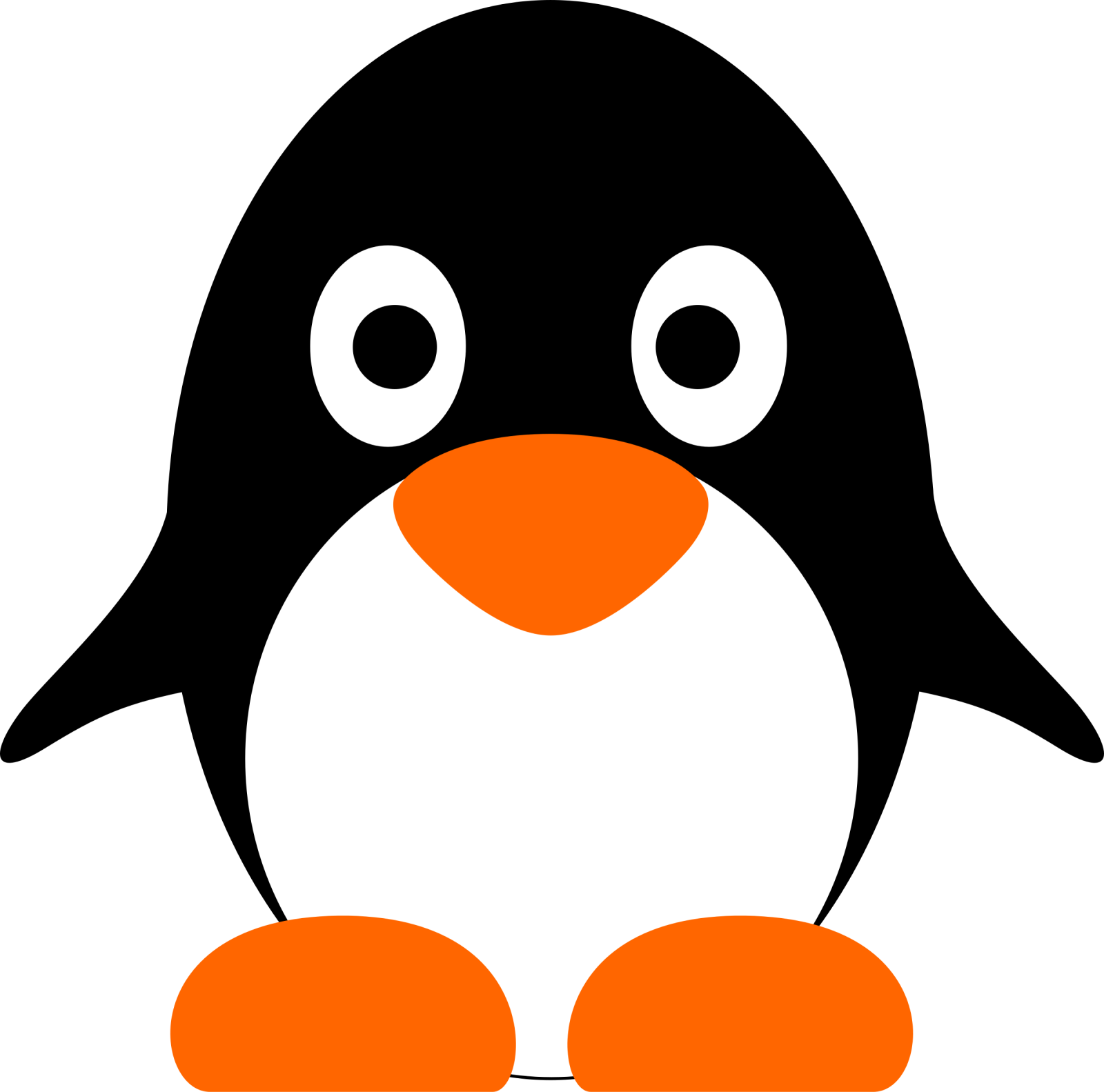 a black and white penguin with orange feet