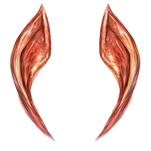 an image of a pair of wings