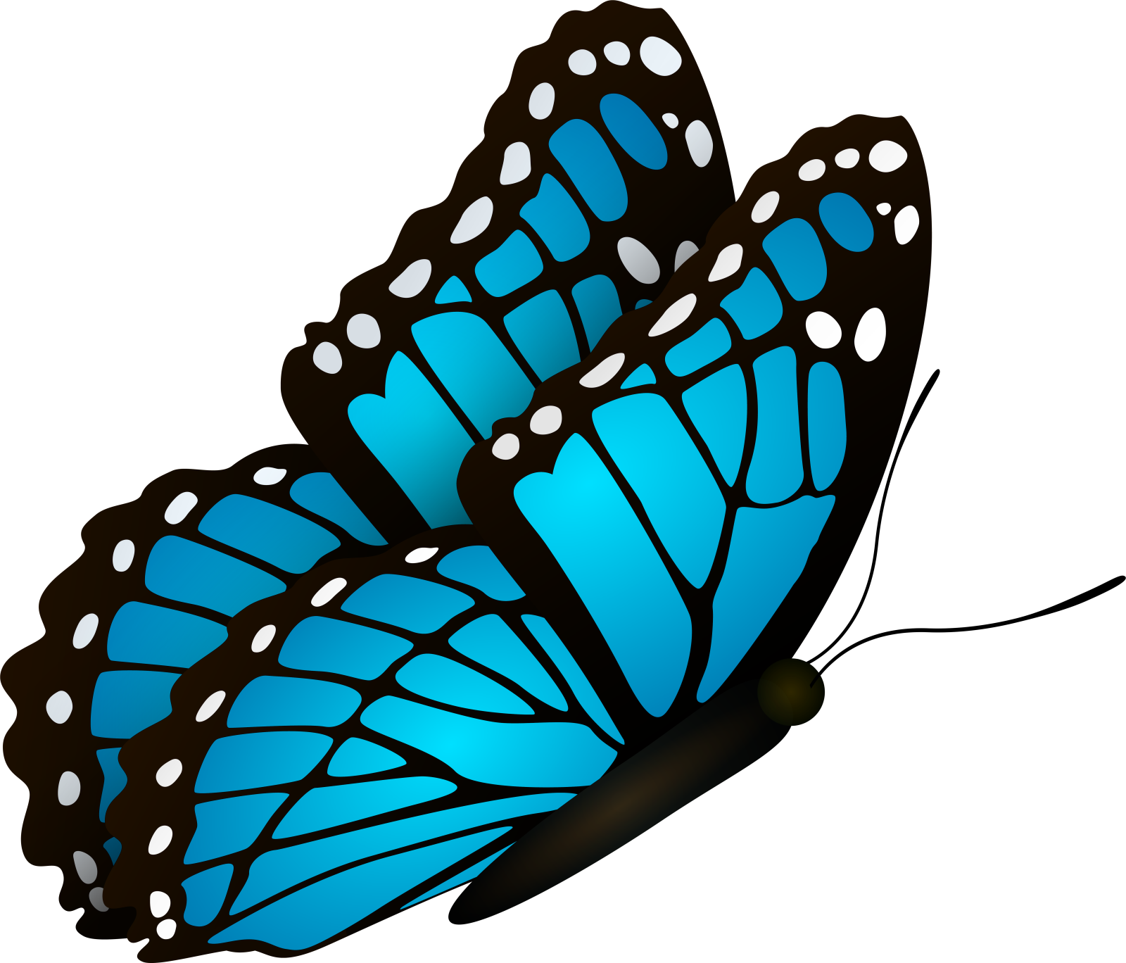 a blue butterfly on a white background