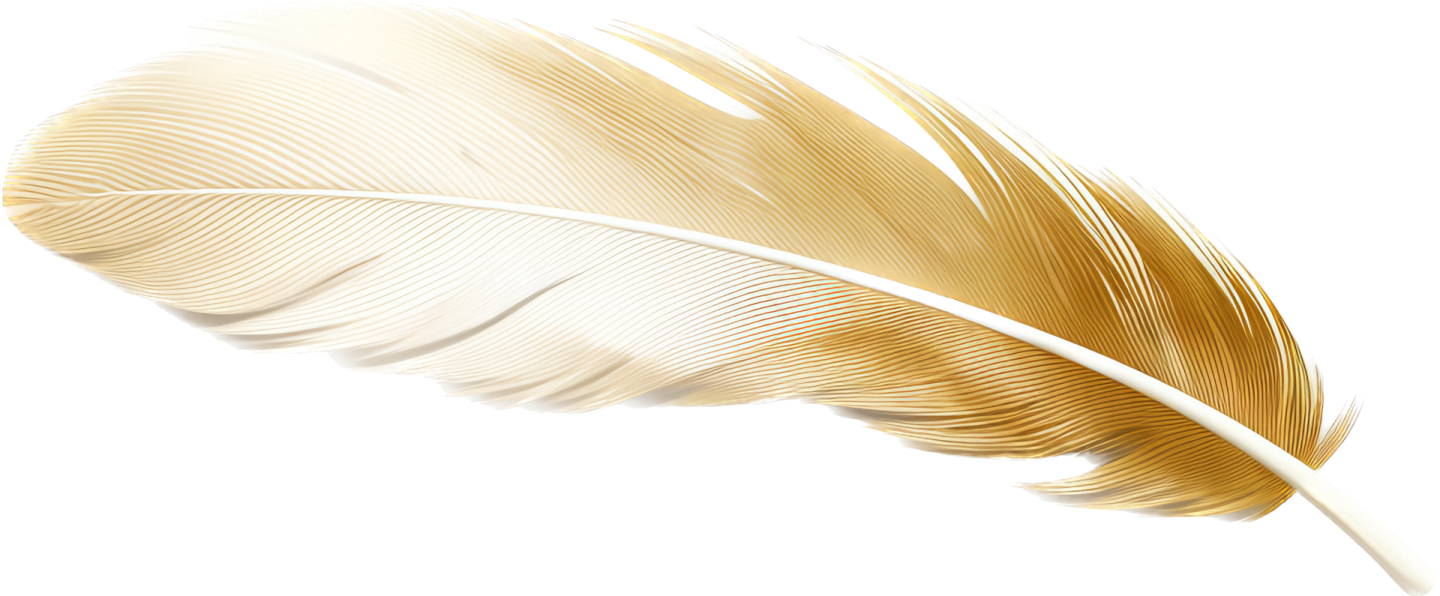 a golden feather on white background